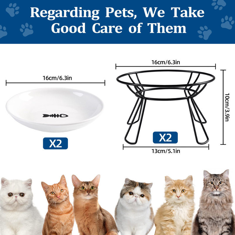 Indoor cat feeding station 2025